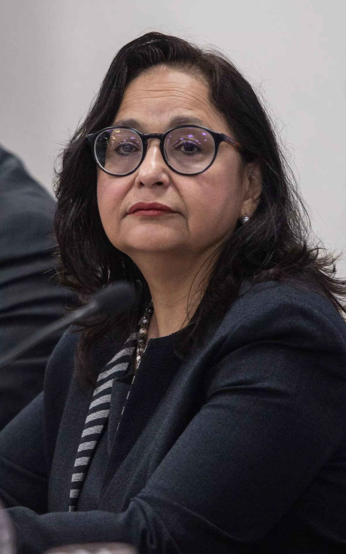 Norma Lucía Piña Hernández