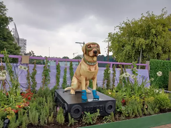 frida.jpeg