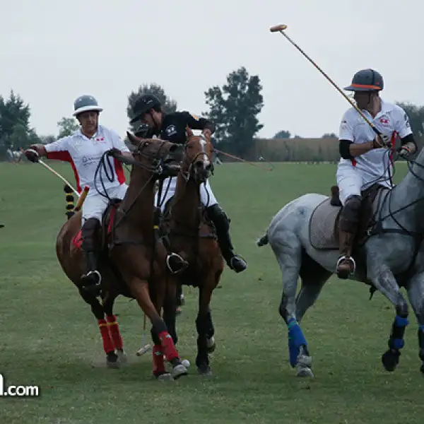 Partido de Polo