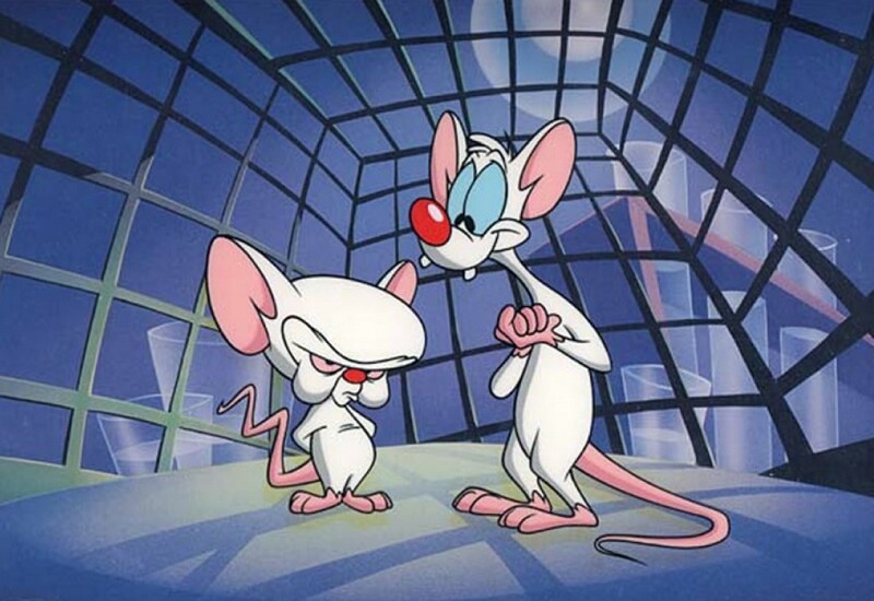 Animaniacs