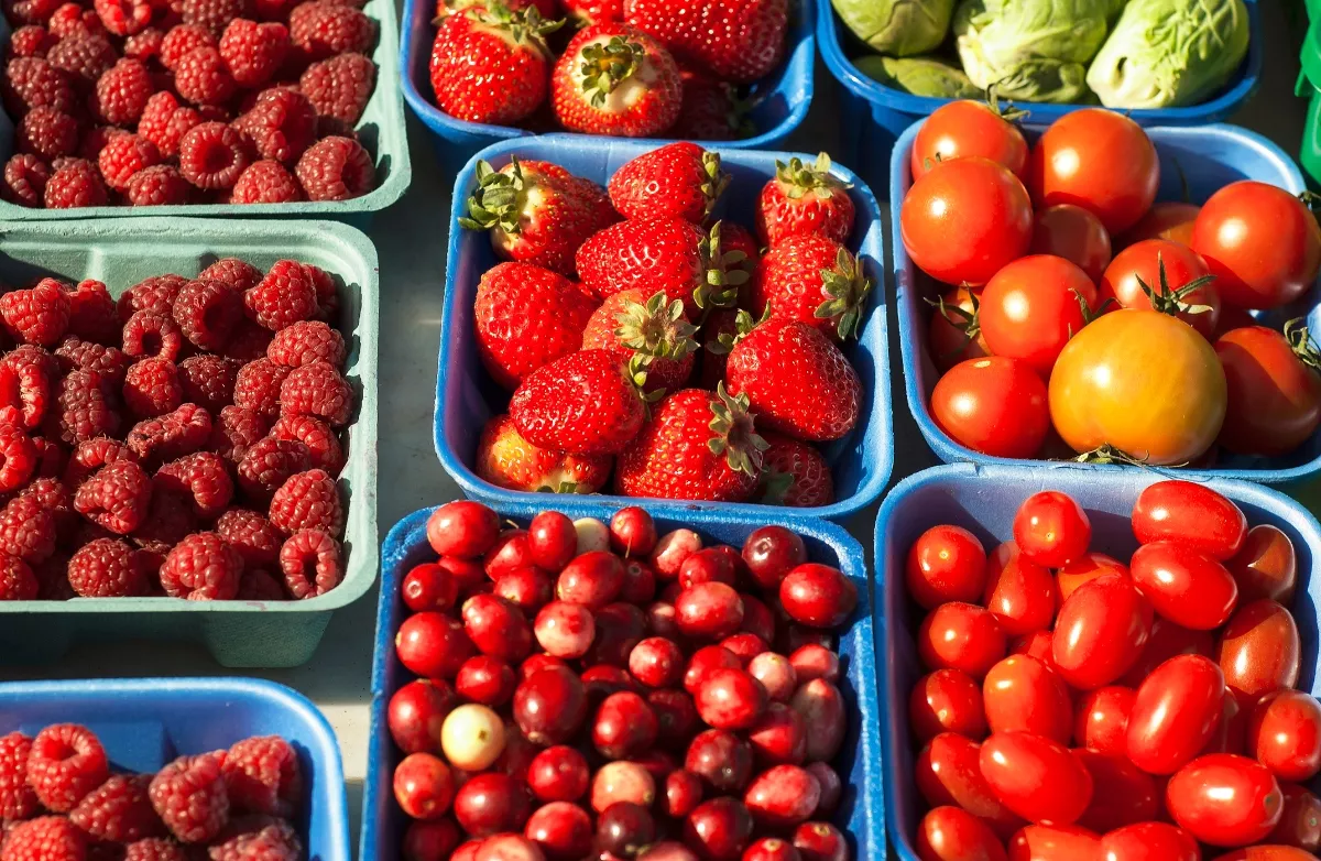 México es vital para las alacenas de Estados Unidos: exporta 21% de frutas, verduras y bebidas 