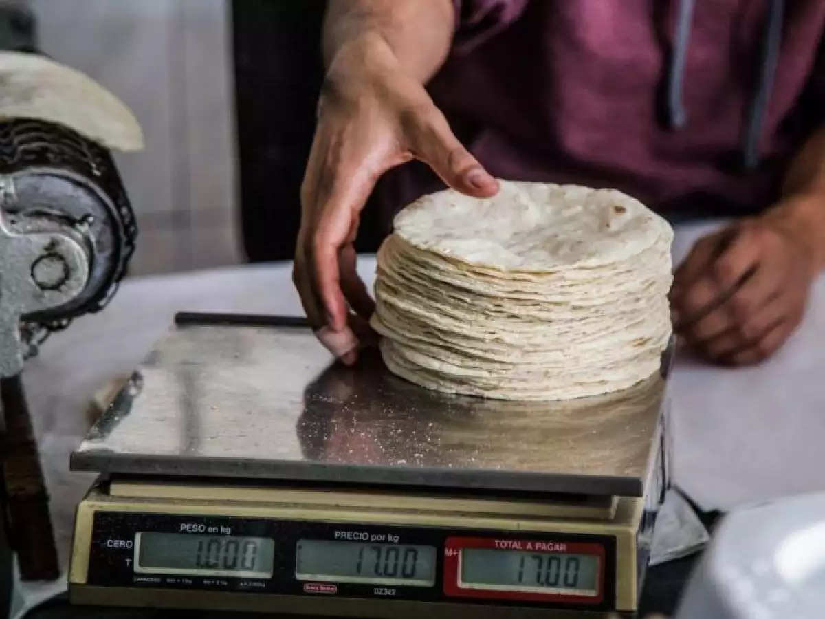 De la tortilla al limón, así han subido los precios por la inflación en el sexenio de AMLO (báscula con tortillas)