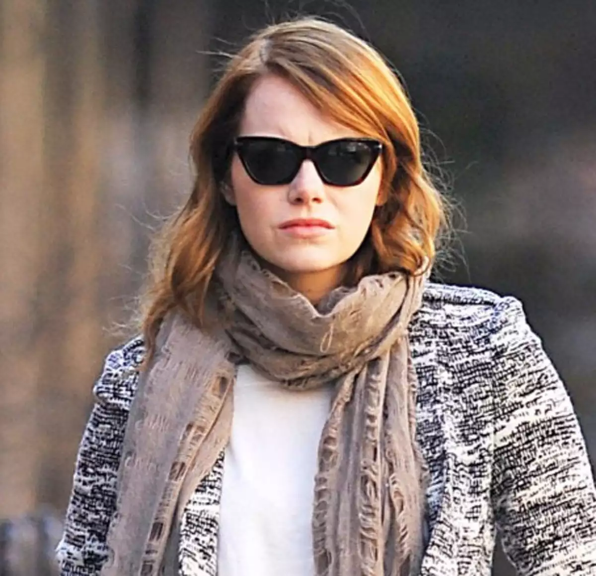 Poco a poco fue cambiando su tono de pelo.