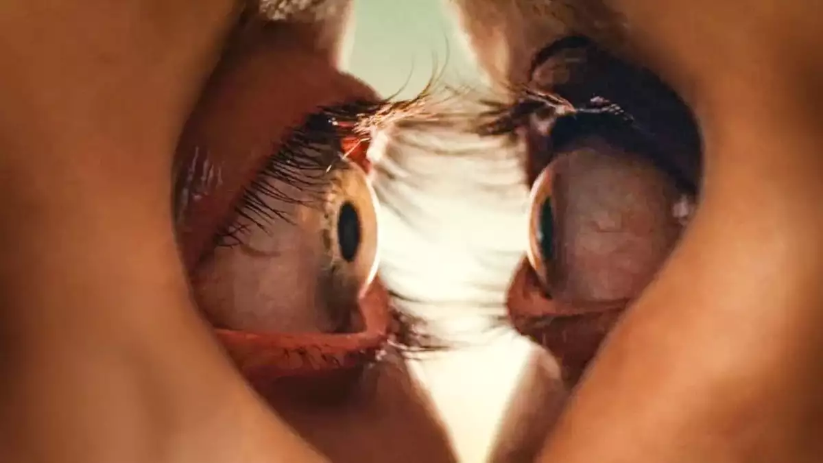 together pelicula rotten tomatoes