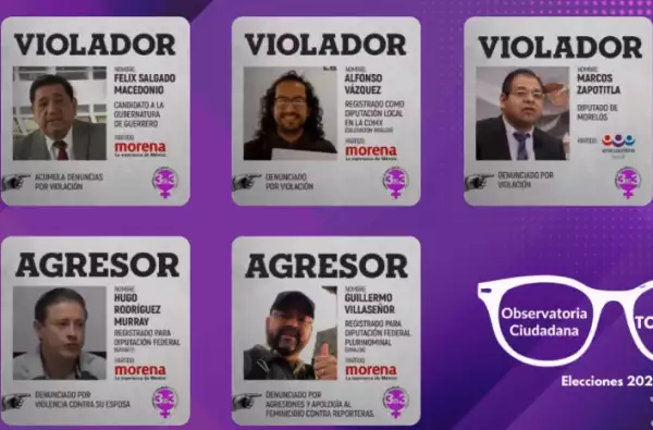 observatoria ciudadana