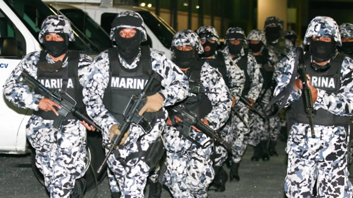 Marina operativo