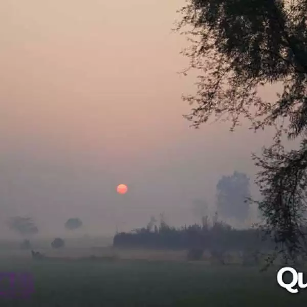 Exposición India Mística Poncho Plascencia y Mario Espina