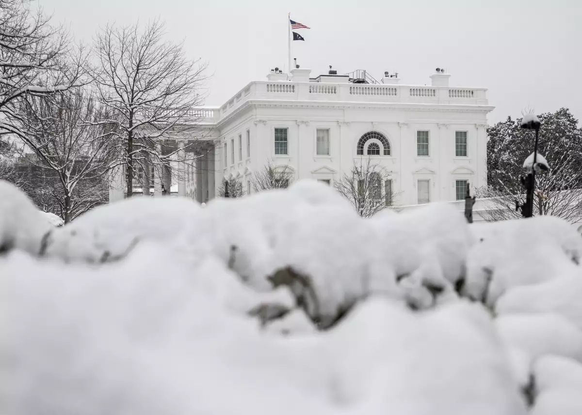 Arbustos cubiertos de nieve se ven fuera de la Casa Blanca en Washington, DC el 12 de febrero de 2025. (Imagen principal del artículo 'Melania Trump anuncia la reapertura de la Casa Blanca al público')