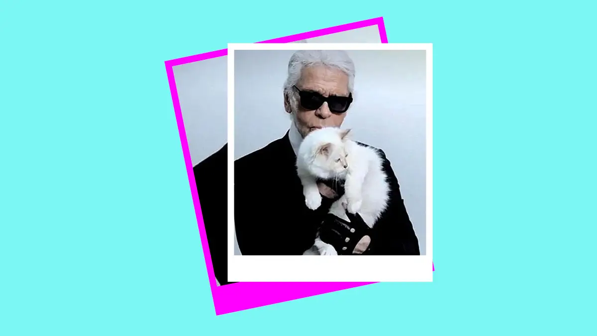 La gatita de Karl Lagerfeld, Choupette Lagerfeld acaba de recibir su invitación a la MET Gala. 
