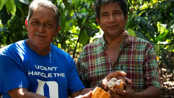 Productores de cacao, en Chiapas
