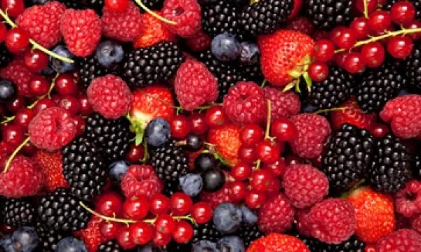 Berries