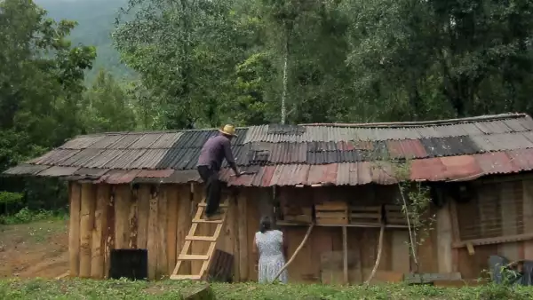 vivienda con techos de lamina y muros de madera