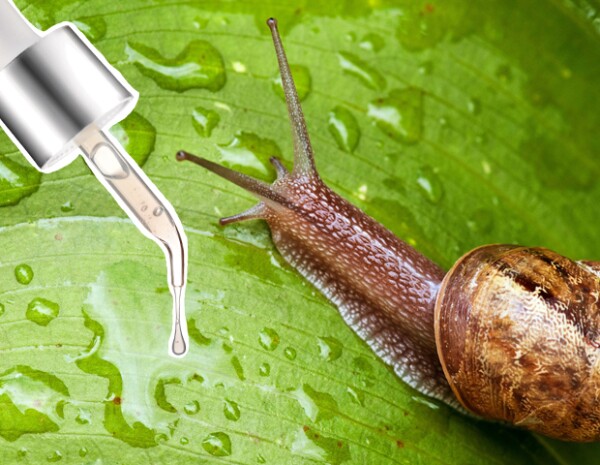 La baba de caracol no sólo se encuentra en productos de belleza, también en cremas medicinales que ayudan a curar enfermedades en la piel.
