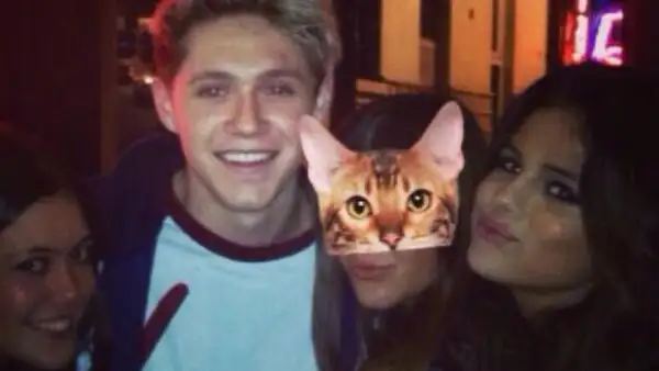 Ayer la ex niña Disney y el integrante de One Direction fueron captados por unos fans en un centro nocturno. Ante esto ha surgido la duda sobre un posible romance.
