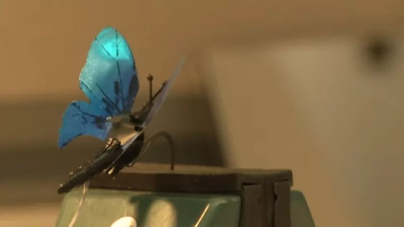 mariposa robot desarrollada por microsoft