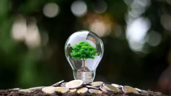 Las finanzas verdes ante los riesgos del cambio climático