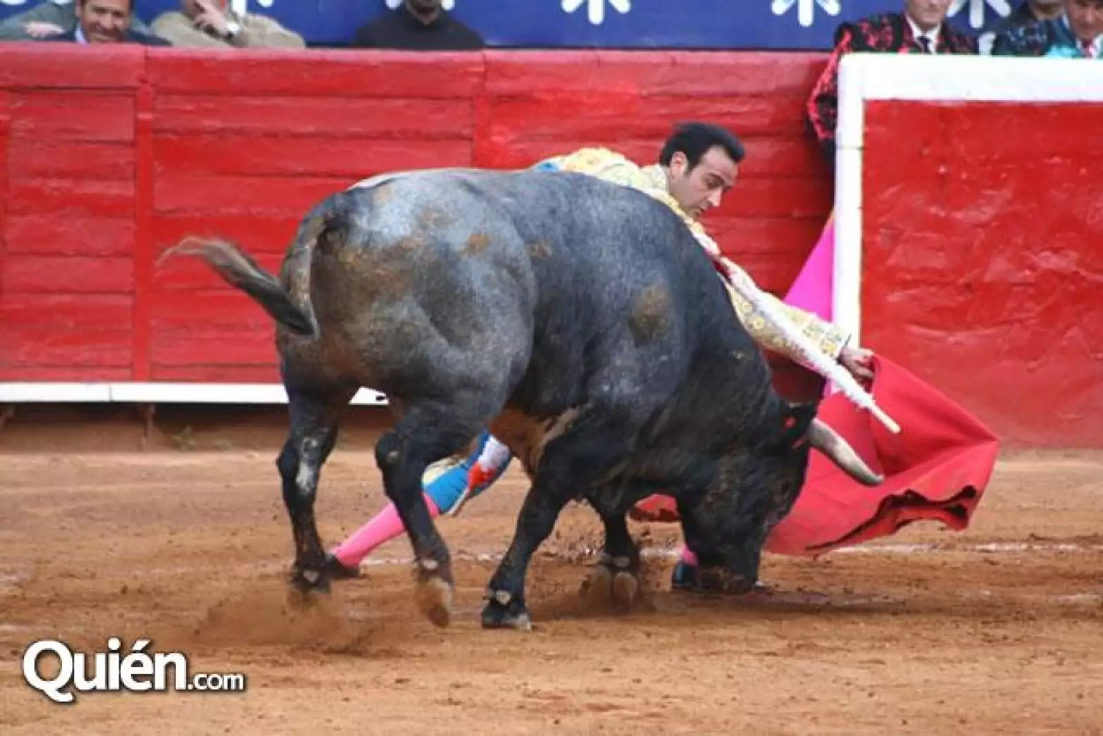 toros 1 fecha