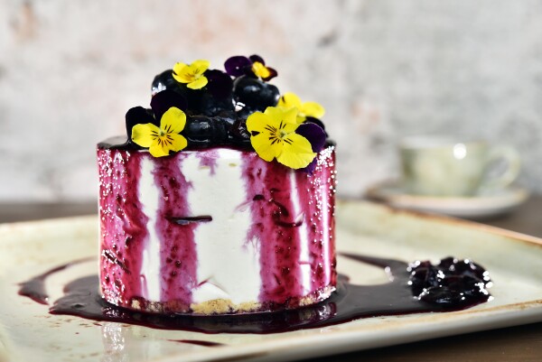 Blueberry cheesecake