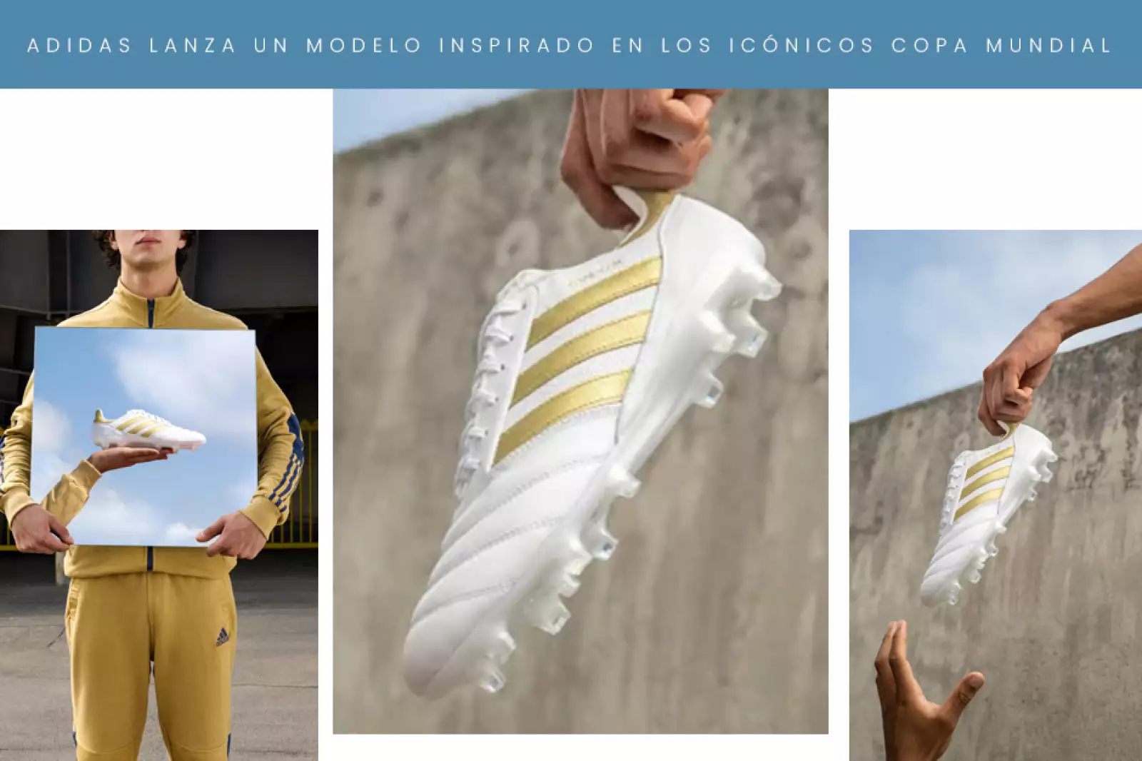 novedades-semana-l&f