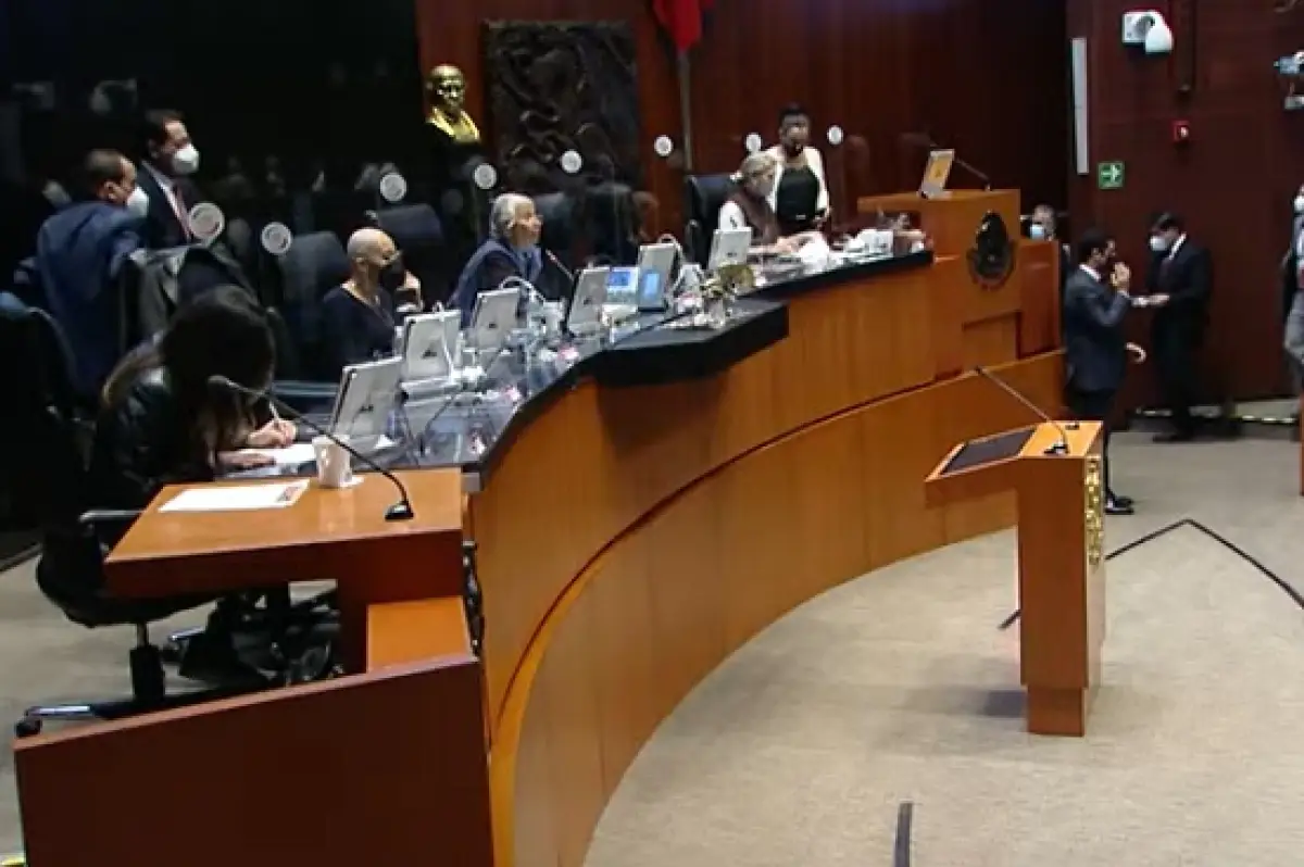 pleno del senado.jpeg