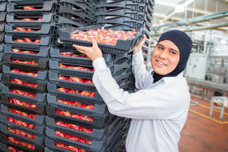 Bimbo anuncia inversión de 2,000 mdd en México hacia 2028