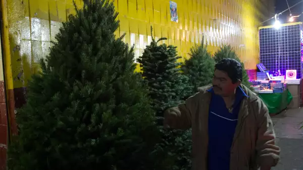 Árbol de navidad