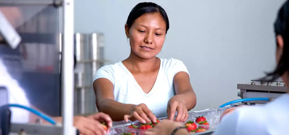 A la alza las pymes de migrantes