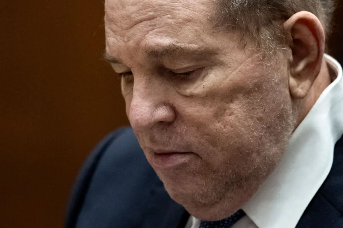 she-said-weinstein