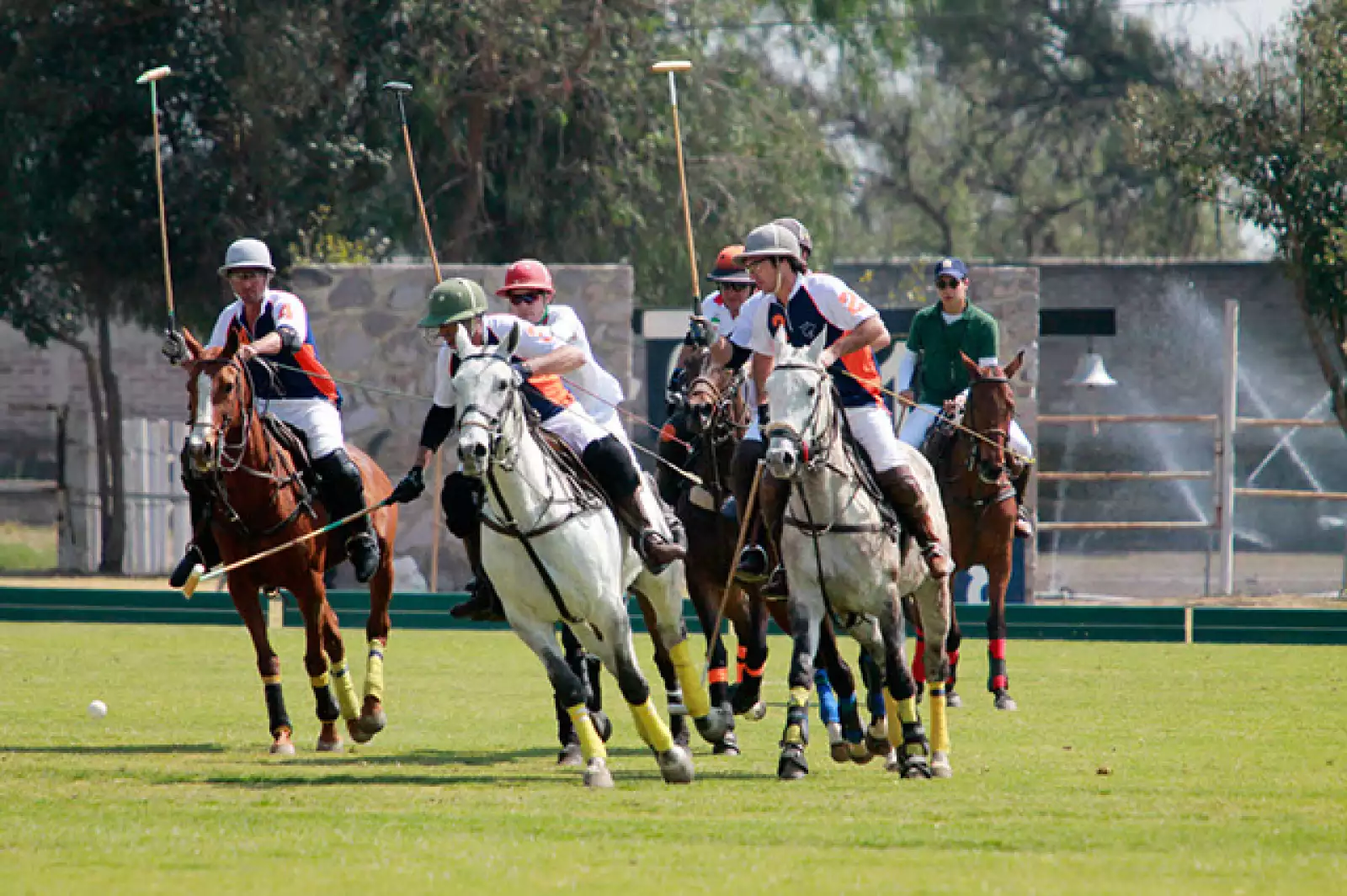 Juego de Polo México - España