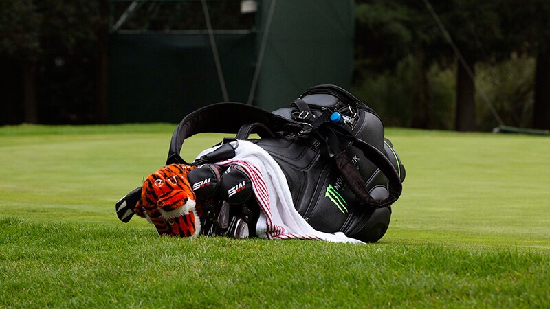 Tiger Woods
