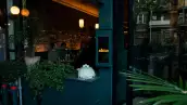 alma restaurante montreal.png