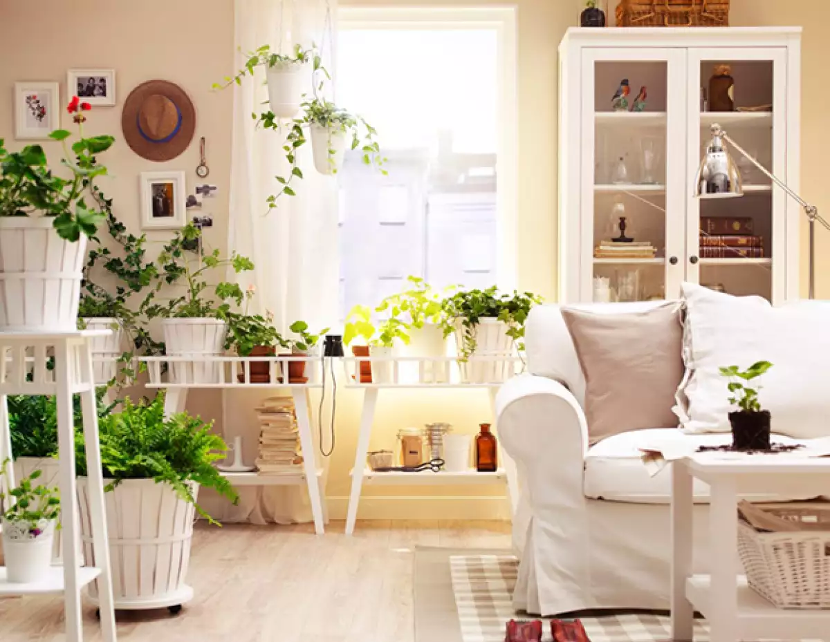 Empieza el año con el pie derecho aprovechando los básicos del Feng Shui. Es momento de cambiar de energía y empezar de cero.
