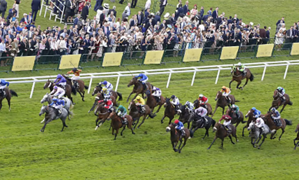 El Royal Ascot es uno de los eventos más prestigiosos de la alta sociedad británica. Para que sientas que estuviste ahí, te contamos cinco cosas que no sabías de este increíble evento.