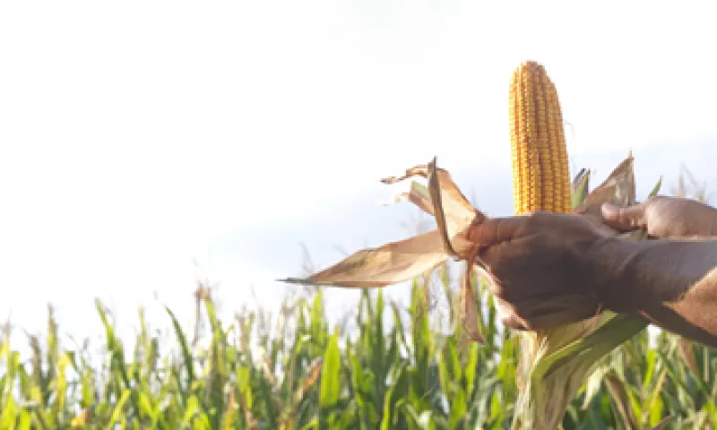 Gruma concretó la compra de la participación del 23.16% que ADM tenía en la fabricante mexicana (Foto: Getty Images)
