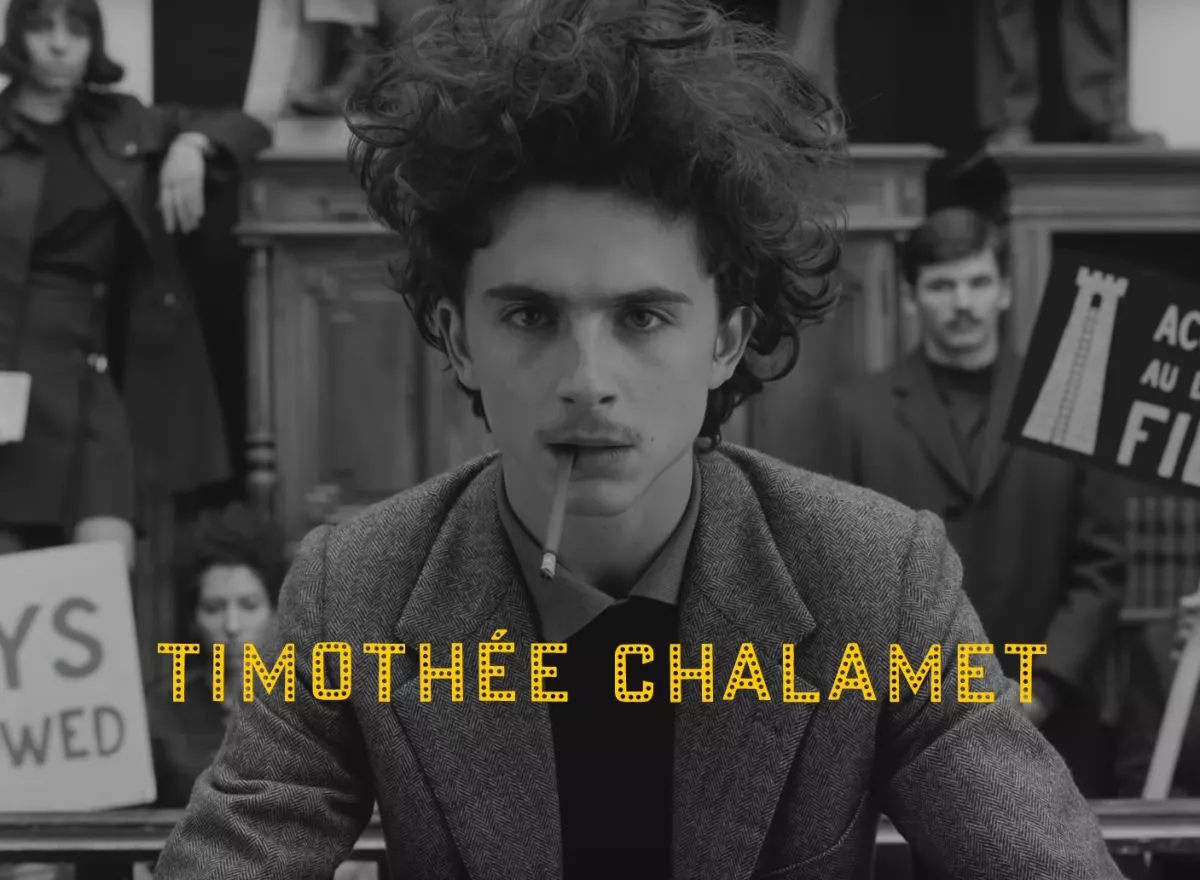 timothee-chalamet-wes-anderson