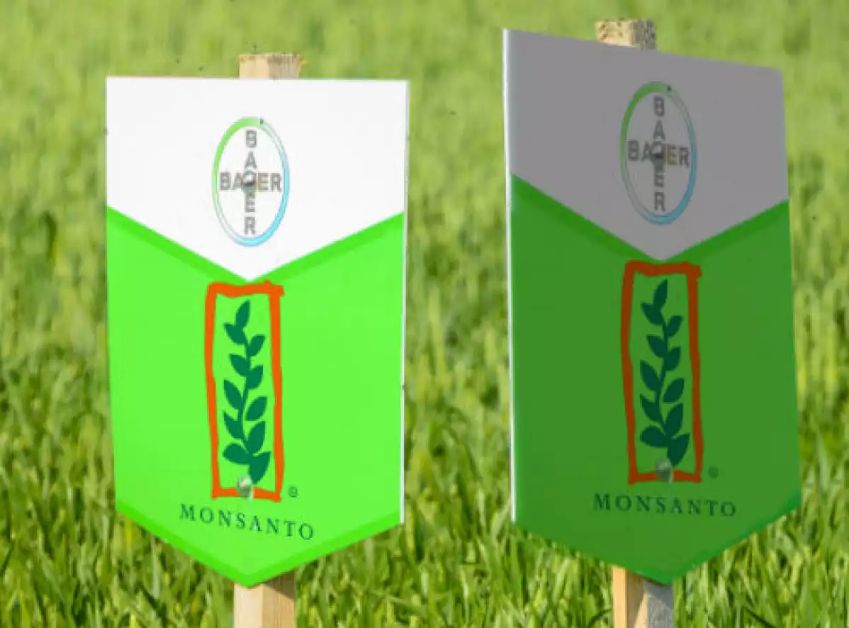 Logos combinados de Bayer y Monsanto