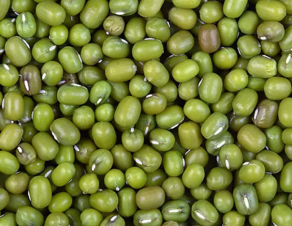 Mascarilla de soja verde en polvo y agua de rosas
