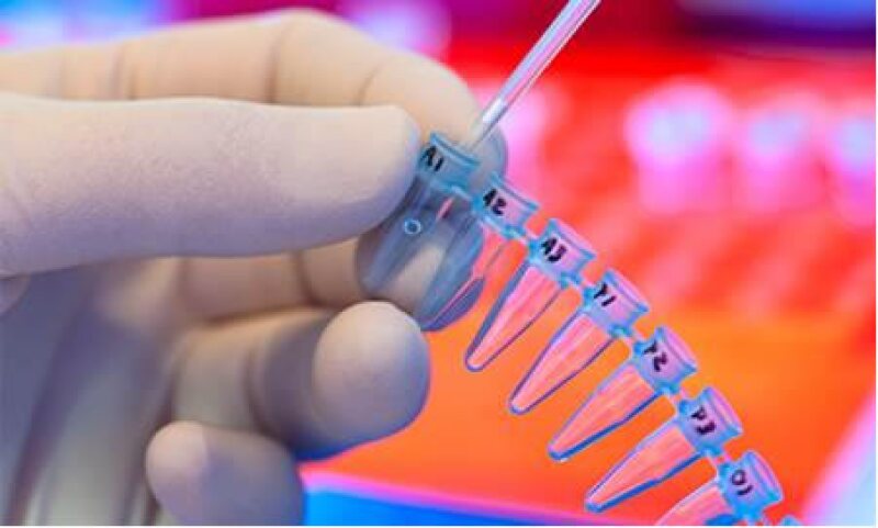 Mexichem opera empresas químicas, petroquímicas y productoras de tubería. (Foto: iStock by Getty Images. )