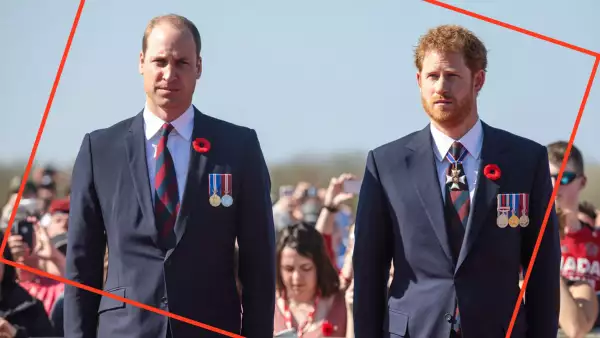 Príncipes harry y william