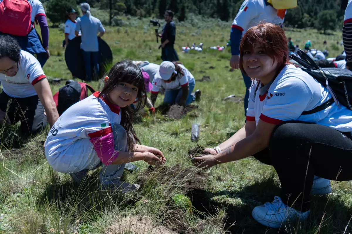 HSBC reforestar 3.jpg