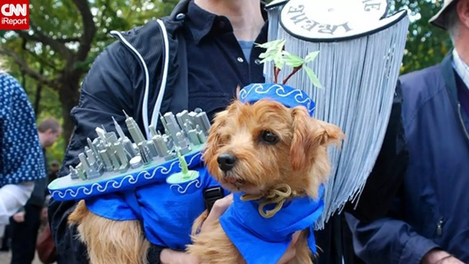 perros disfraz Halloween