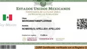 La CURP biométrica tiene un requisito indispensable para poder descargarla: cómo obtenerlo 