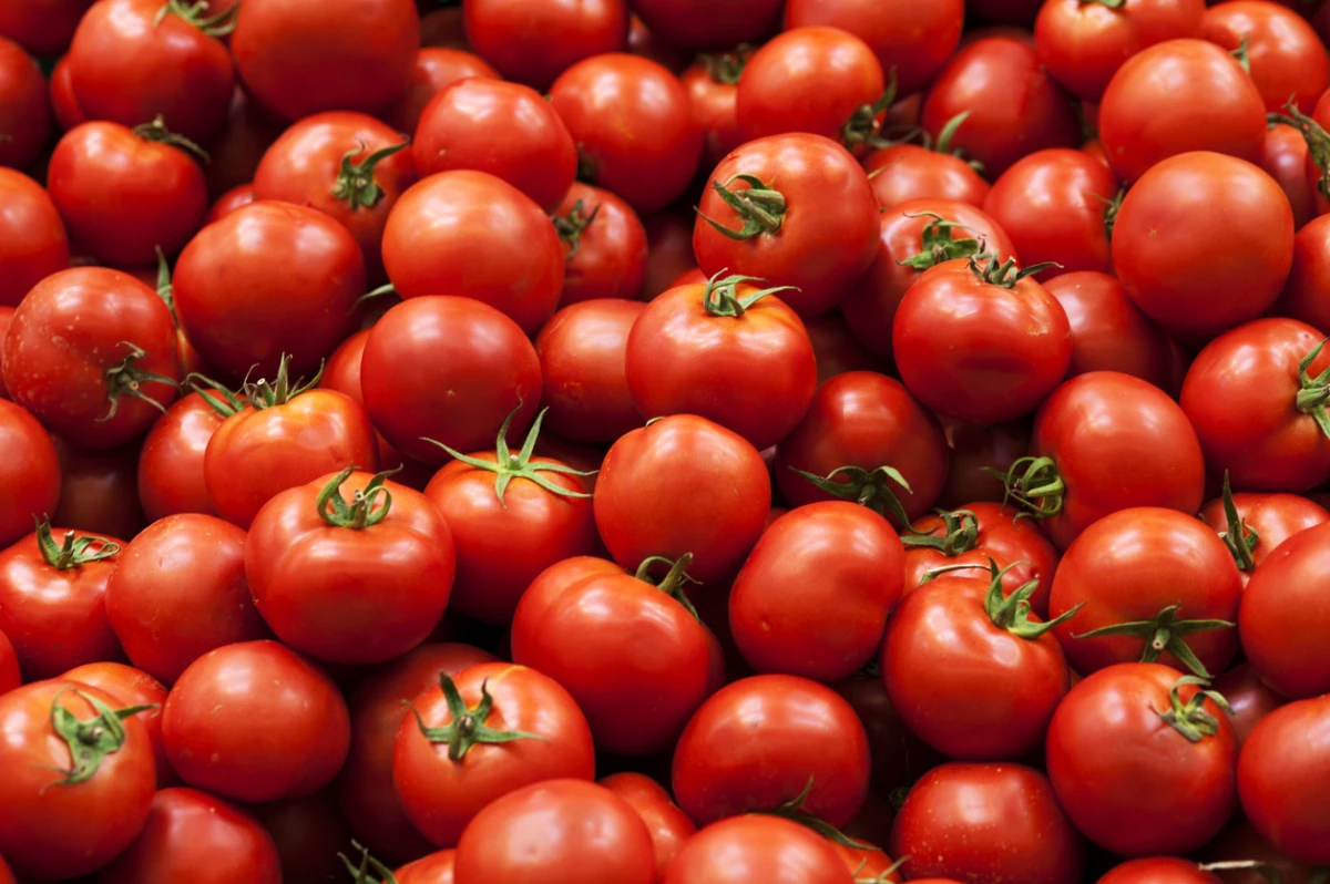 Pile of Tomatoes