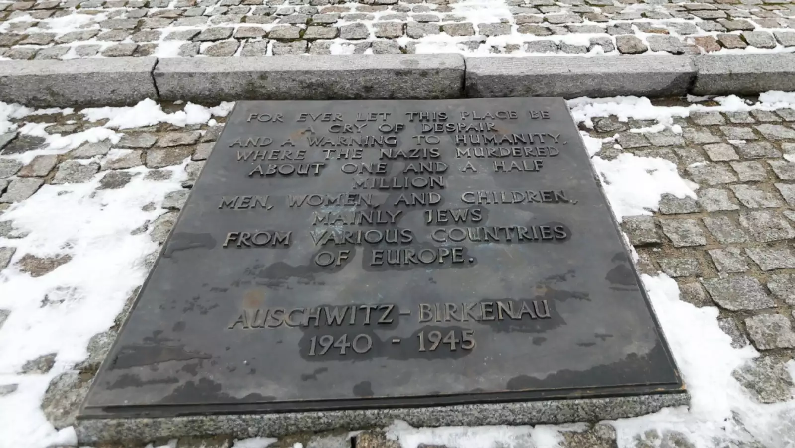 auschwitz 70 años 5