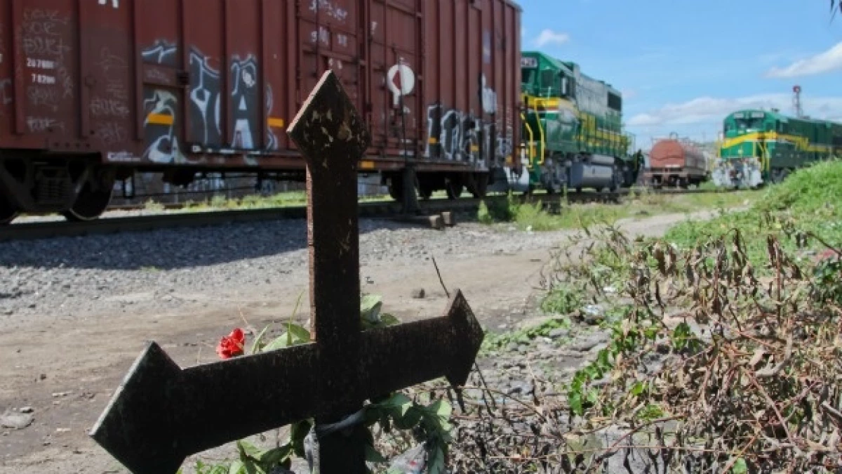 tren migrantes