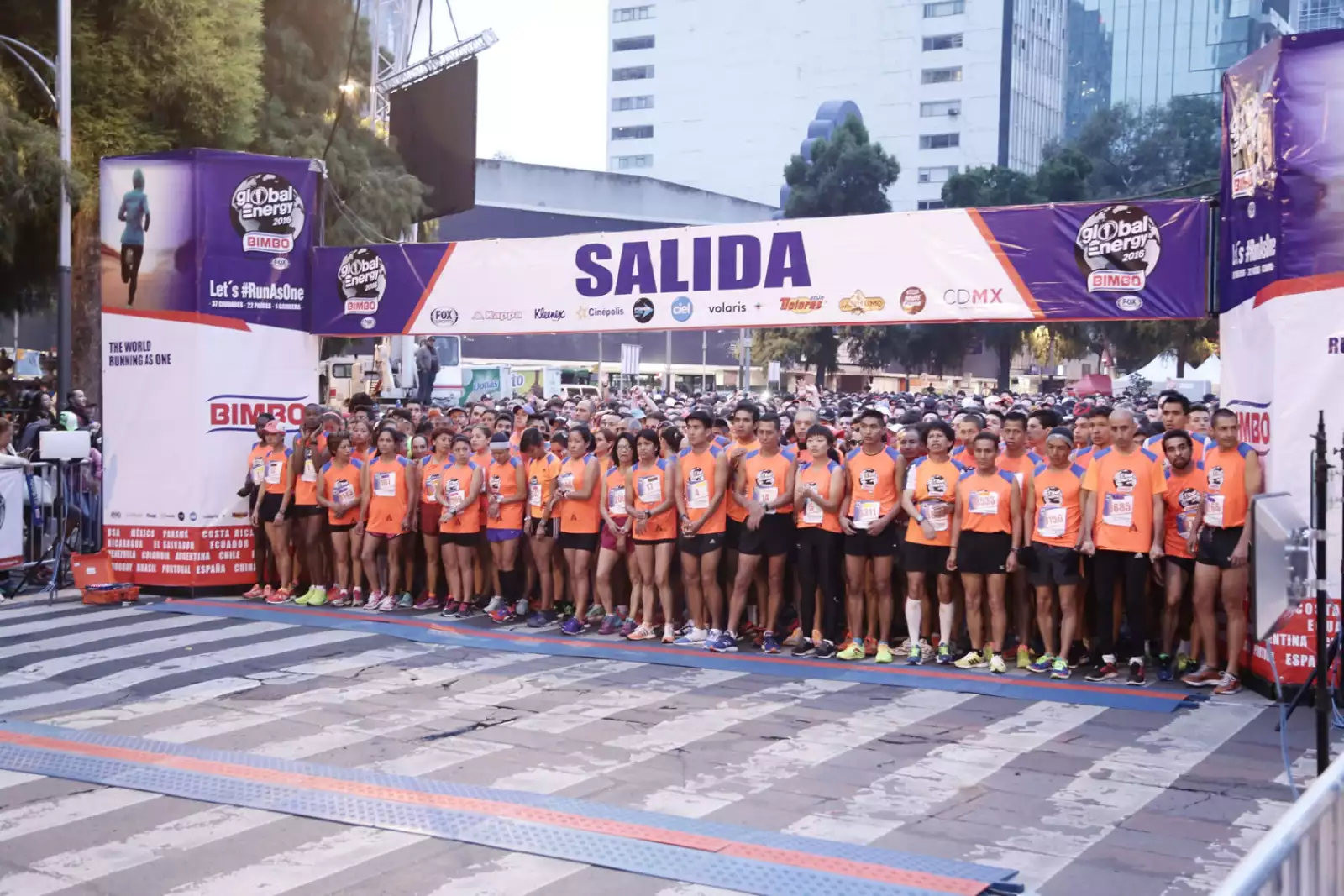 Carrera Global Energy Bimbo