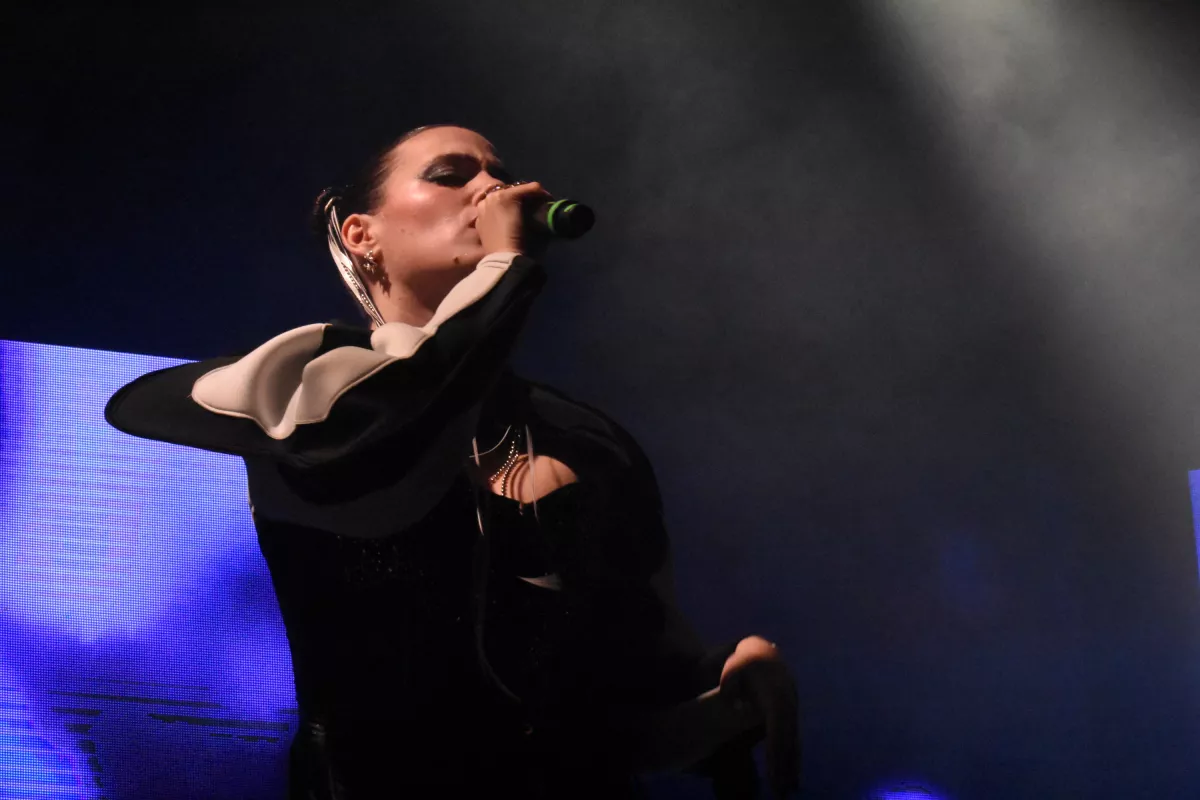 noia pitchfork festival