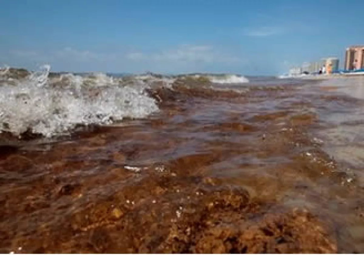 BP dijo que no podrá seguir con la recolección de petróleo en el Golfo de México durante el paso de huracanes. (Foto: AP)