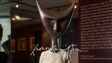 Leonora Consigna.jpg