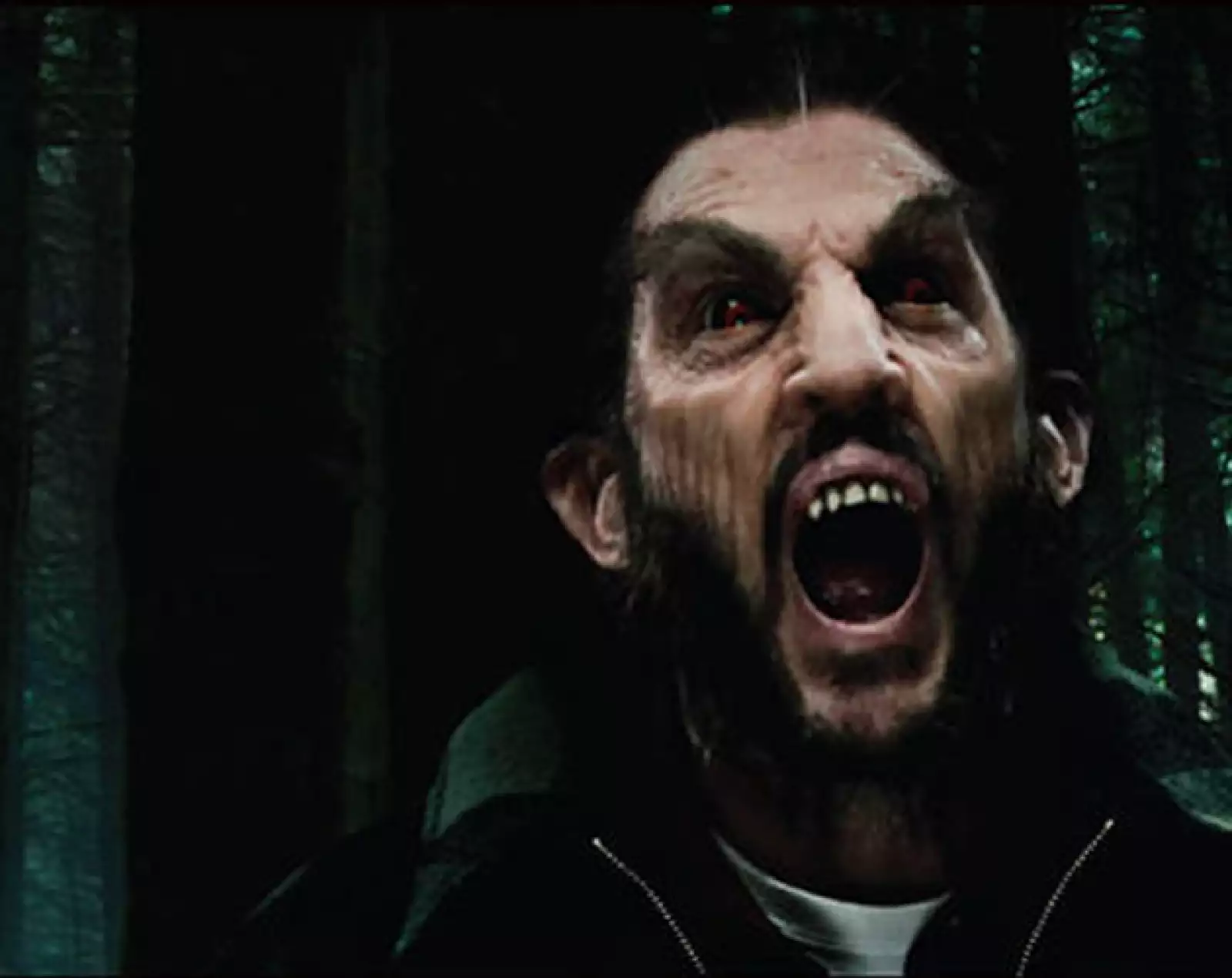 Si las habilidades sobrenaturales te parecen encantadoras, te recomendamos que te pongas a ver Grimm lo antes posible. La serie habla sobre un detective de homicidios que, por razones inesperadas, ...